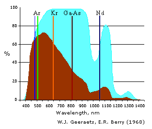 Spectral characteristics of eye tissues